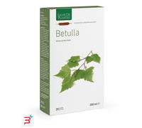 BETULLA BIOLOGICO 20 AMPOLLE BEVIBILI 15 ML