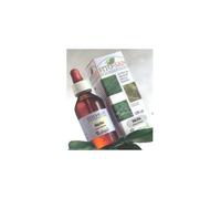 BETULLA FGL 100ML TM