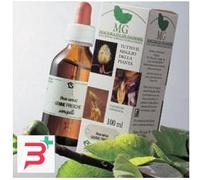 BETULLA MACERATO GLICERICO 100 ML