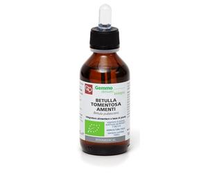 BETULLA PUB AMENTI MG100ML BIO