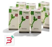 BETULLA PUBESCENS GEMME MACERATO GLICERICO 50 ML