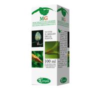 Betulla Verrucosa 100ml Macerato Di Gemme