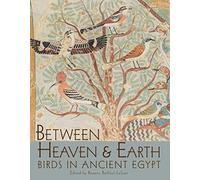 Between Heaven and Earth: Birds in Ancient Egypt