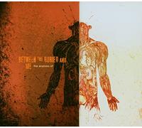 Between The Buried A - The Anatomy Of