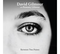 David Gilmour Between Two Points Remixes (Vinyl LP)