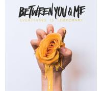Between You & Me Everything Is Temporary (Vinyl LP) 12" Album