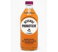 Bevande probiotiche. La bibbia. Oltre 65 bevande per mantenersi in ottima salute