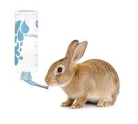 BEVERINO Sippy Azzurro 1000ML