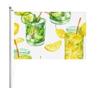 Bevi un cocktail con ghiaccio al limone,Bandiera da giardino, bandiera decorativa da cortile, bandiera bifacciale, 2x3 piedi, per esterni e interni