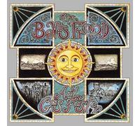 Bevis Frond - Any Gas Faster