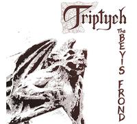 The Bevis Frond Triptych (Vinyl LP)