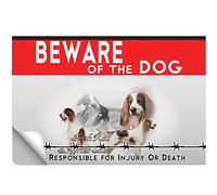 Beware of dog adesivo Irish Red and White Setter