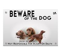 Beware of the dog plastic plate irish red setter