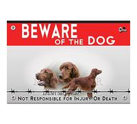 Beware of the dog plastic sign irish red setter