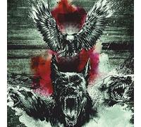 beware of the underdogs