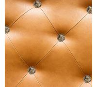 Bewinner Chiodi per Tappezzeria a Quadrifoglio Ispessito Vintage, 20 Pezzi di Chiodini Decorativi Antichi a per Mobili da Divano, Artigianato Fai-da-te, Borchie a Forma di Trifoglio in Ferro 20x22mm