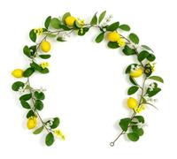 Bewinner Ghirlanda Artificiale di Limoni, Vigneto Finto con Frutta per | Ghirlanda di agrumi finti, decorazioni primaverili ed estive, decorazioni per matrimoni in soggiorno, accenti verdi
