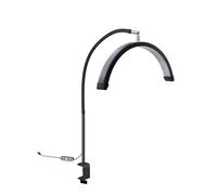 Bewinner Lampada di Bellezza a Mezza Luna LED da 16 Pollici con Morsetto da Scrivania, 20 W, 360 ° RATALLE, 3 Temperature di Colore, Lampada (BLACK)