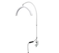 Bewinner Lampada di Bellezza a Mezza Luna LED da 16 Pollici con Morsetto da Scrivania, 20 W, 360 ° RATALLE, 3 Temperature di Colore, Lampada (WHITE)