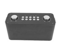 Bewinner Macchina per Karaoke Portatile con Altoparlante Bluetooth Wireless, Doppi Microfoni e Telecomando, Batteria da 6000 MAh, Lega di Alluminio, Funzione Scheda Audio per Feste in Casa