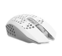 Bewinner Mouse da Gioco Wireless Silenzioso, Design Cavo Luminoso RGB, Mouse Ricaricabile da 2,4 GHz con 7 Pulsanti, 3 DPI Regolabili (800/1200/1600), Portata 10 M, per PC Portatile (WHITE)