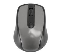 Bewinner Mouse Wireless 2.4G, Mouse Ottico Wireless Ergonomico Ad Alta sensibilità per Computer Portatile, Portatile, Leggero, Trasmissione Dati Ad Alta velocità (SILVER)