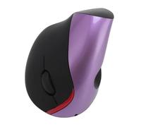Bewinner Mouse Wireless Ergonomico, Mouse Verticale Ricaricabile per Mano Destra con 3 Livelli DPI Regolabili 800, 1200, 1600, 3 Pulsanti 5, Compatibile con PC, Laptop, Tablet (PURPLE)