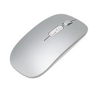 Bewinner Mouse Wireless, Mouse Wireless 2.4G per Laptop, Mouse Bluetooth Mouse Wireless Silenzioso per Computer con Luce Colorata, Mouse Wireless Ergonomici per Windows PC (Grigio