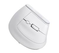 Bewinner Mouse Wireless Verticale |Bluetooth 5.2 e 2.4G Doppia modalità, 1600 DPI, Retroilluminazione RGB, Ricaricabile, Design Silenzioso a 6 Pulsanti per PC/Mac/Android (WHITE)
