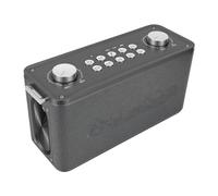 Bewinner Piccolo Altoparlante Portatile per Adulti con Microfono Wireless, Telecomando, di Canto per Feste in Casa in Alluminio, Design con Impugnatura Ricaricabile da 6000 MAh per