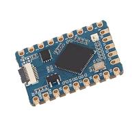 Bewinner Scheda di Sviluppo RP2040 Tiny con Processore Dual Core ARM Cortex M0+, 20 Pin GPIO, USB 1.1, modalità di Sospensione a Basso Consumo, Flash da 2 MB, da 264 KB, Modulo Castellato