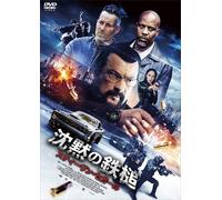 Beyond The Law (DVD) Steven Seagal