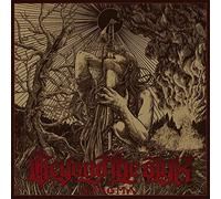 Beyond the styx - Stiigma