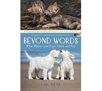Beyond Words: What Wolves and Dogs Think and Feel (A Young Reader: 2