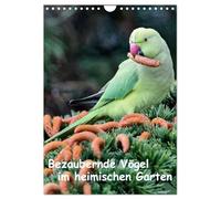 Bezaubernde Vögel im heimischen Garten (Wandkalender 2026 DIN A4 hoch), CALVENDO Monatskalender: Wunderschöne Aufnahmen, die die Pracht, Vielfalt und ... - eine Freude für jeden Vogelliebhaber.