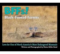 BFFs! Black-Footed Ferrets: Love for One of North Americas Most Endangered Mammals