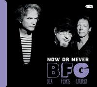 Bfg-Bex, Ferris & Goubert - Now Or Never