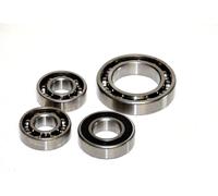 BFT KIT CUSCINETTI MOTORE ELI250 ELI AC/BT A40 - 2609519