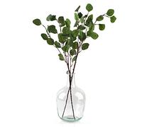 Bfttlity Vaso alto in vetro trasparente, vaso da pavimento per rami, in finto vetro, per centrotavola in cucina, decorazione per interni (M)