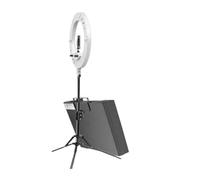 BFXXF Kit Light 18, luce LED dimmerabile 55W6700k, supporto treppiede, telecomando, scatola(Pink)