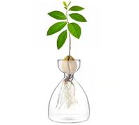 BFYDOAA Vaso di Avocado per Semi di Avocado Piccolo Albero di Avocado Vaso per Piante in Vetro Trasparente Avocado Grow Bottle per Gli Amanti del Giardinaggio Regalo per Bambini(B)