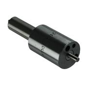 BG76 Polverizzatore Iniettore Lungo Acciaio Inossidabile Compatibile Motore Lombardini Diesel 6LD 360 6LD 400 Motozappa Motocoltivatore