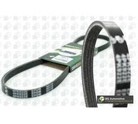 BGA 4PK860E Cinghia Poly-V per BMW