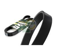 BGA 6PK1873 Cinghia Poly-V per AUDI,BMW,CHEVROLET,DAEWOO,MERCEDES-BENZ,MITSUBISH
