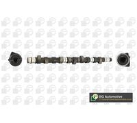 BGA CS3384 Albero a camme per AUDI,VW