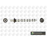 BGA CS5531 Albero a camme Lato aspirazione per FORD C-MAX (DM2) FUSION (JU)