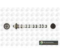 BGA CS5538 Albero a camme Lato scarico per FORD Fiesta Mk6 Schrägheck (JA8, JR8)