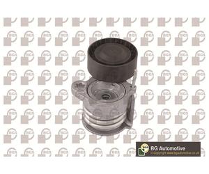 BGA DC0908 Braccio tenditore, Cinghia Poly-V per ALPINA,BMW
