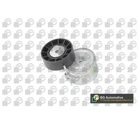 BGA DC1417 Braccio tenditore, Cinghia Poly-V per CITROËN,FIAT,FORD,LANCIA,PEUGEO