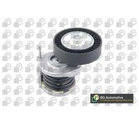 BGA DC9602 Braccio tenditore, Cinghia Poly-V per AUDI,SEAT,SKODA,VW